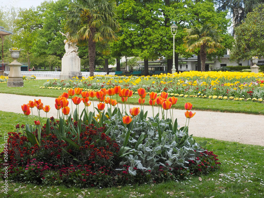 tulipes à Rennes
