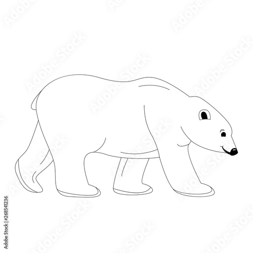 polar bear   vector illustration lining draw profile