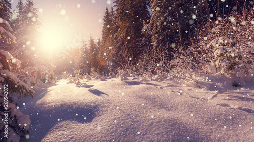 Wonderful Winter Nature Background. Wintry Landscape with Snowfall.