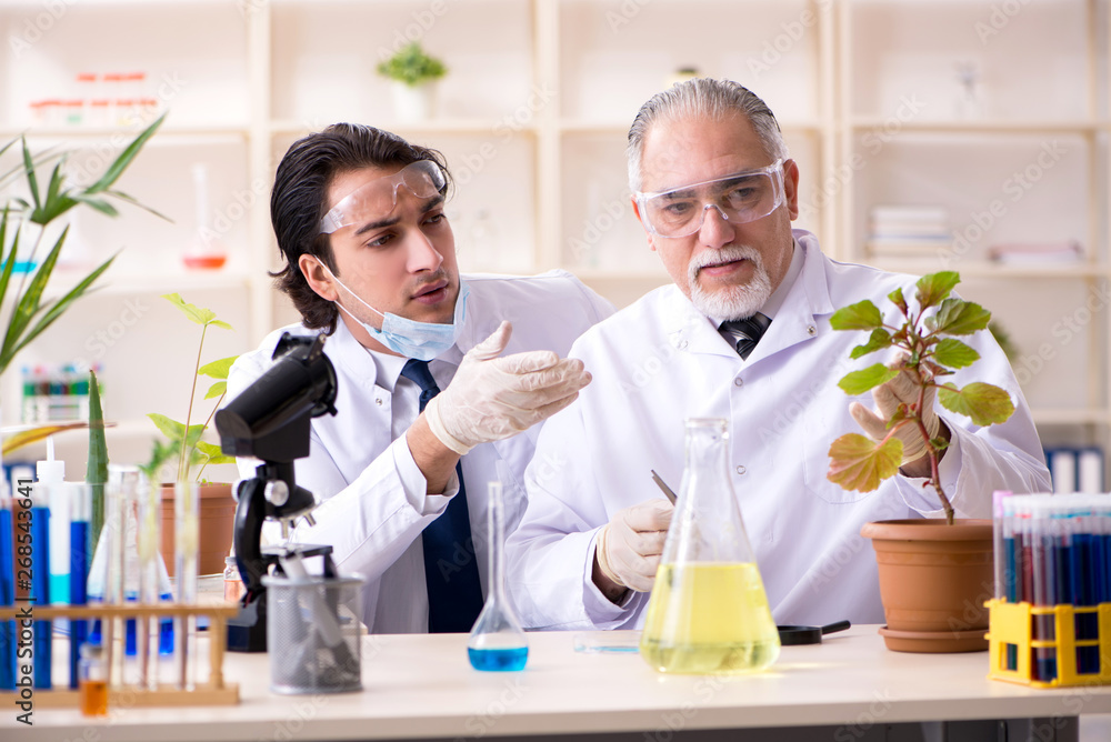 Two chemists working in the lab Two chemists working in the lab