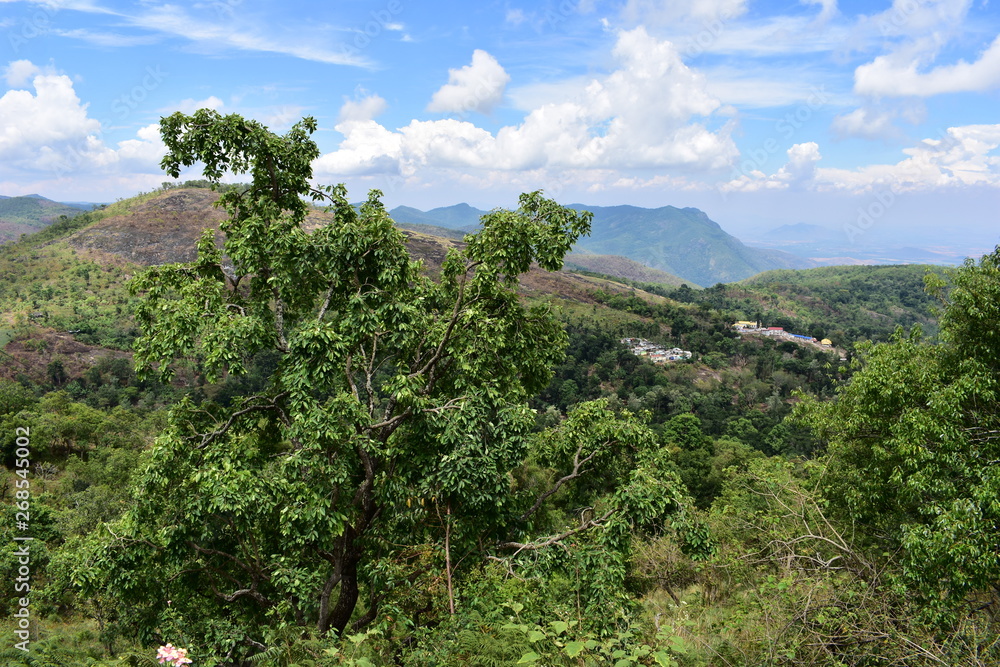 A Panoramic View Of Kodaikanal