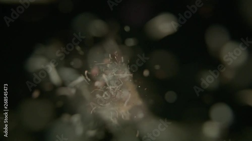 Black Tea shot in super slow motion with tea leaves falling towards camera. Black Backgorund. Alexa Plus Camera