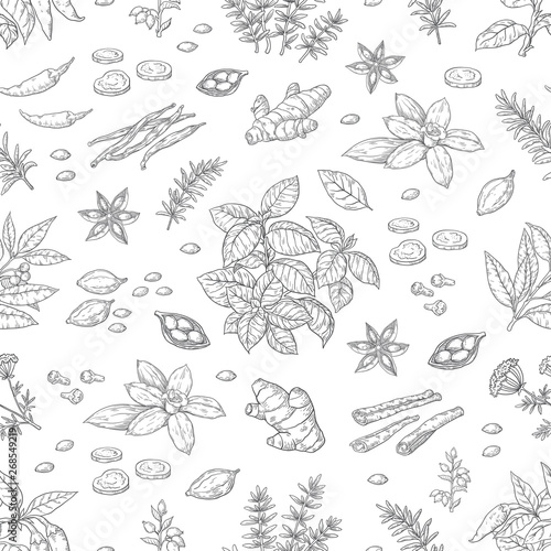 Hand drawn spices pattern. Herbs and vegetables seamless background, Asian and Indian cuisine sketch elements. Vector illustration vintage food poster