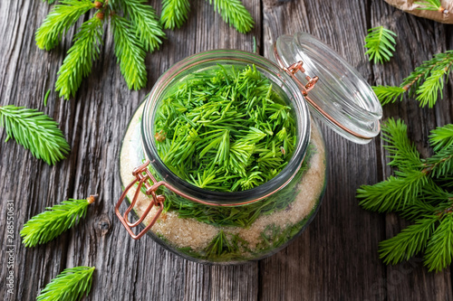 Preparation of spruce syrup from young spruce tips
