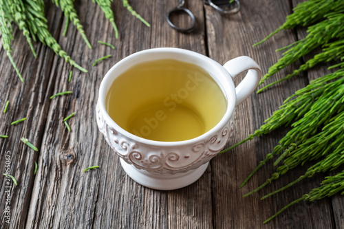 A cup of horsetail tea with fresh horsetail plant