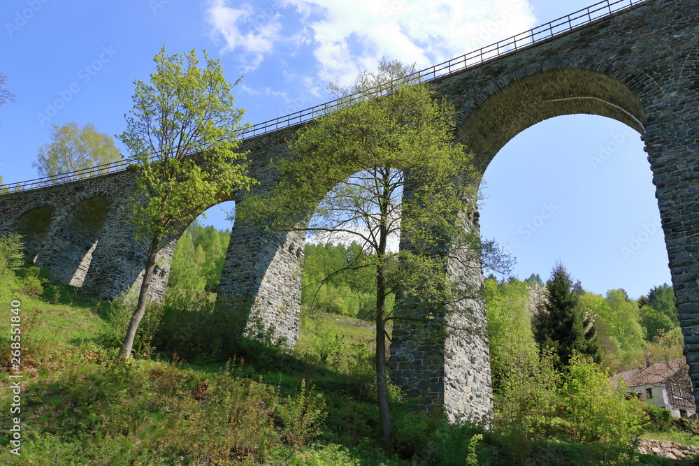 Fototapeta premium Zeleznicni Railway Viaduct near liberec in Czech Republic