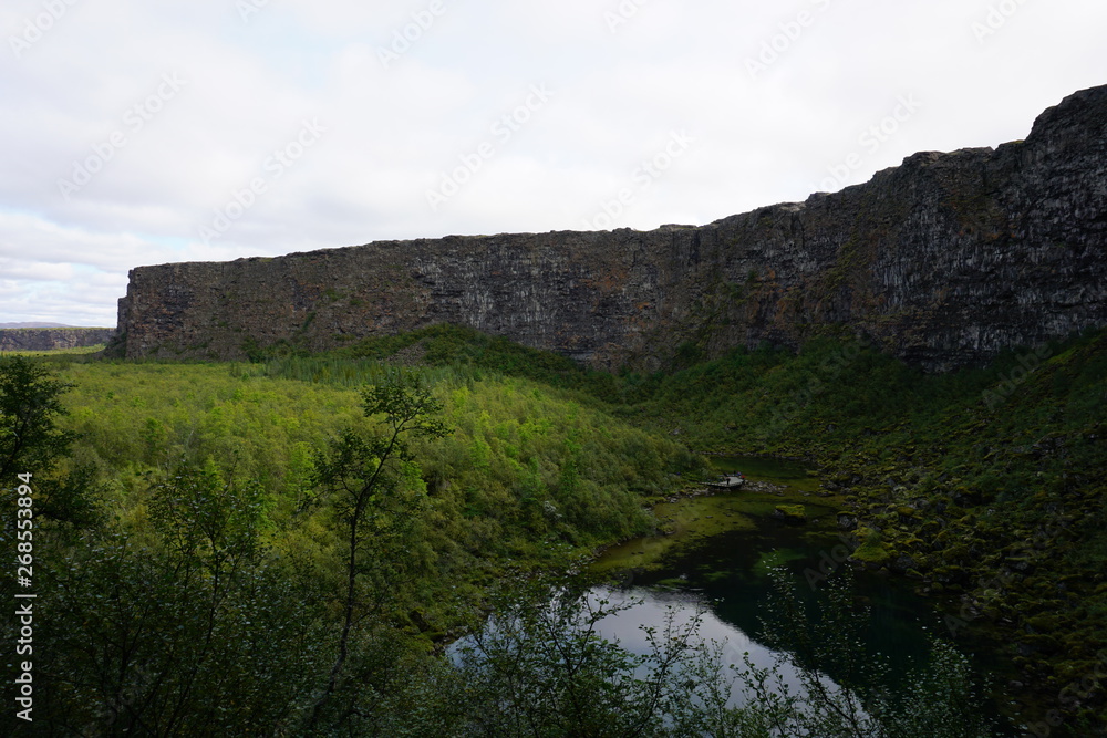 Fantastic Asbyrgi Canyon on Iceland with rocks, trees and beautiful landscape