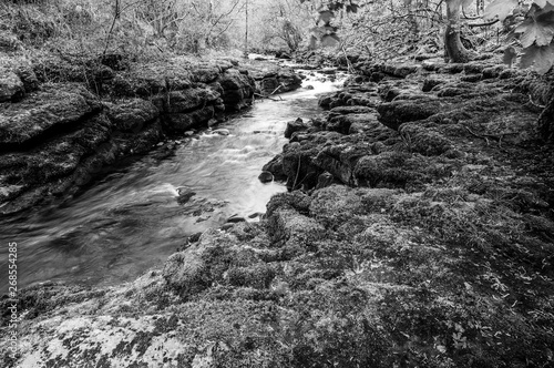 The river Taf in black and white