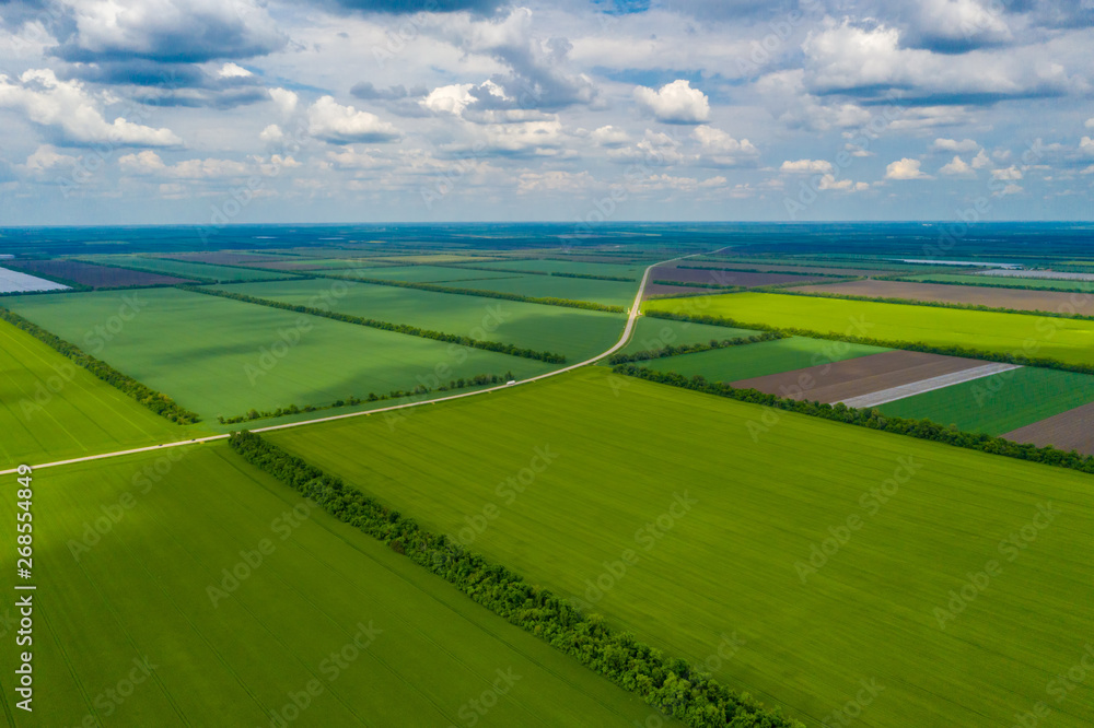 green country field with row lines, top view