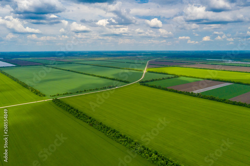 green country field with row lines, top view © Andy Shell