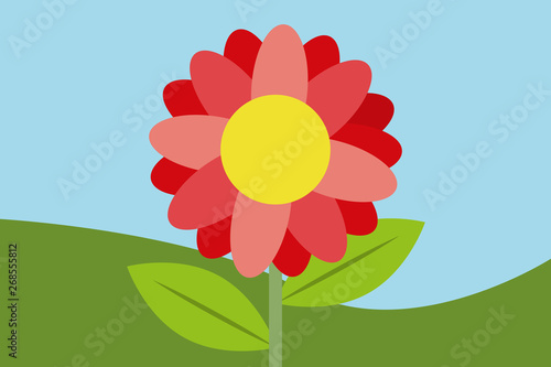 Flor de pétalos rojos en un campo.