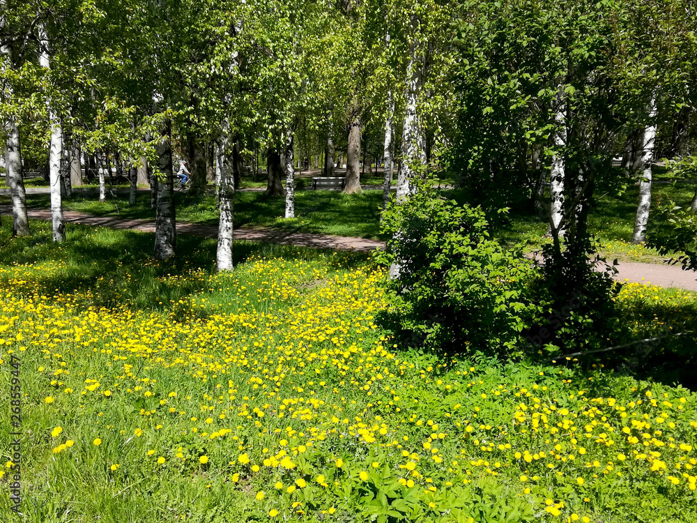 Obraz premium Wiosenny park miejski z kwitnącymi drzewami i kwiatami