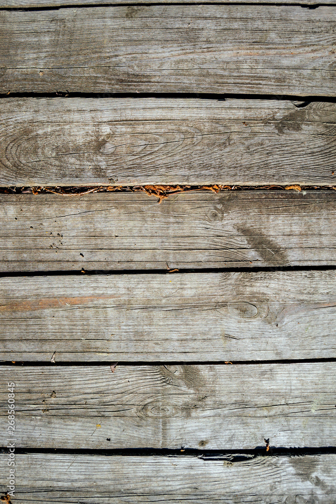 Old wooden panel texture natural background. Old wooden panel texture natural background.