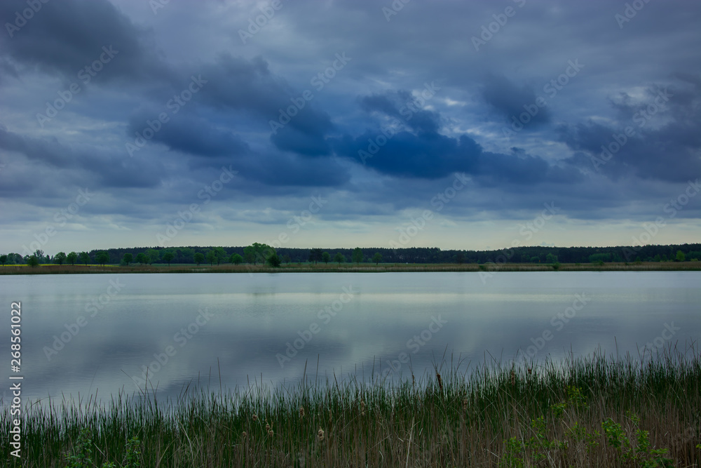 Cane and water surface, dark rain clouds Cane and water surface, dark rain clouds