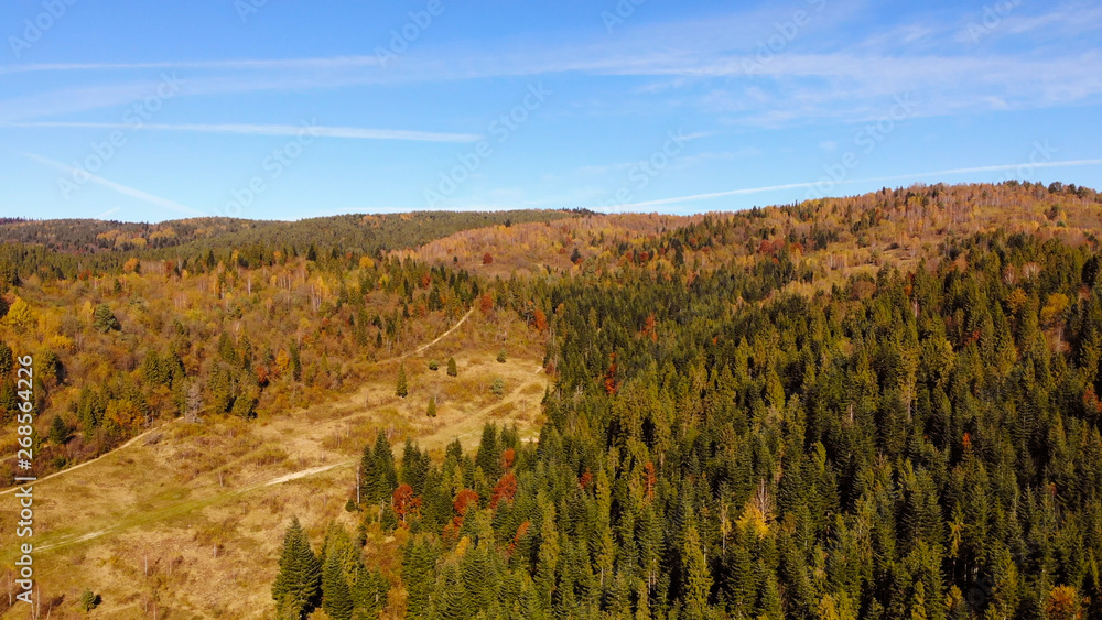 Aerial view of Carpathian Mountains, autumn landscape