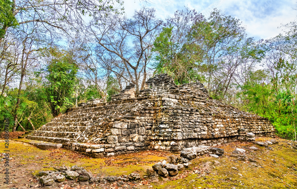 Ruins of a Mayan pyramid at Balamku in Mexico