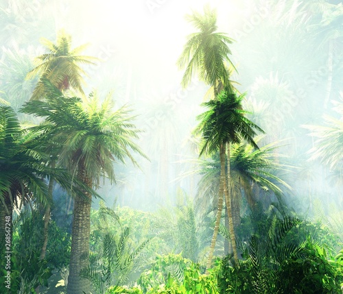 Jungle in the fog, morning in the tropics, palm trees in the haze