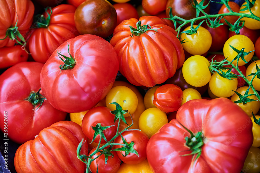 Beautiful, colorful tomatoes photographed close up at a market on a sunny day. Beautiful, colorful tomatoes photographed close up at a market on a sunny day.