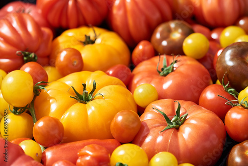 Beautiful  colorful tomatoes photographed close up at a market on a sunny day.