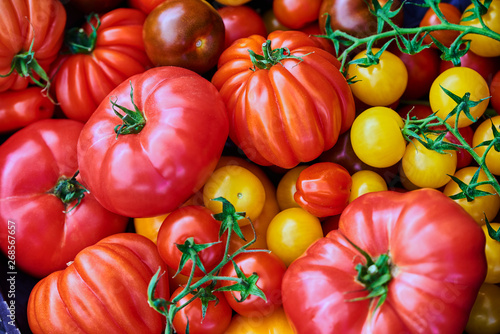 Beautiful, colorful tomatoes photographed close up at a market on a sunny day. © Jakub