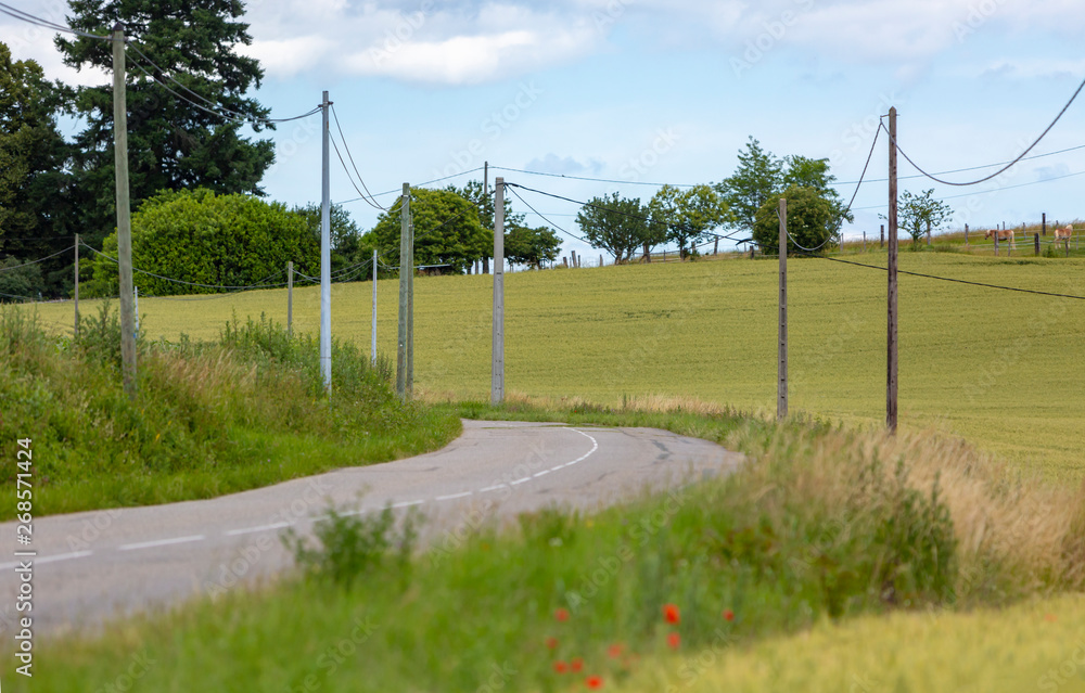 custom made wallpaper toronto digitalRural Road