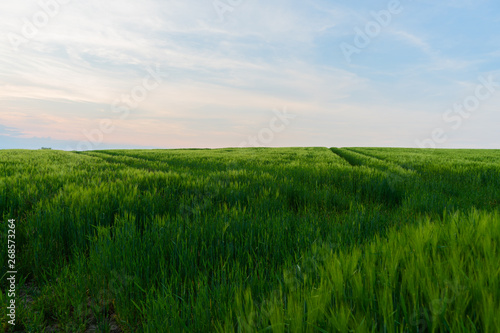 colorful sunset over the fields