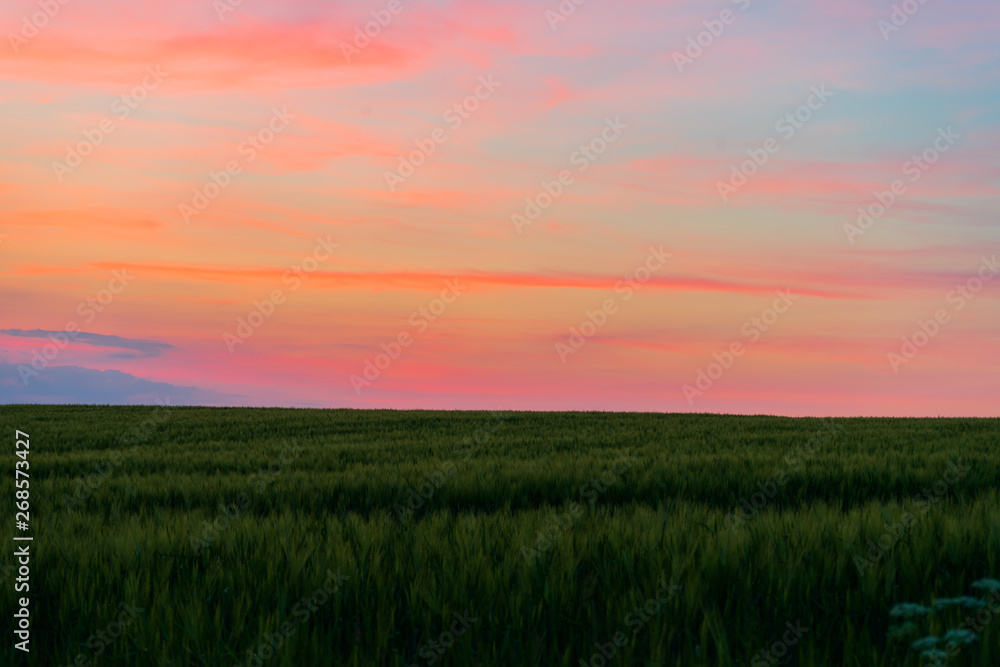 colorful sunset over the fields