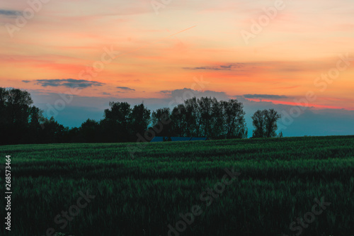 colorful sunset over the fields © dariuszmakovski