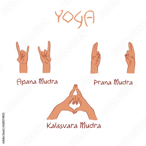 vector mudras hands color isolated line fingers