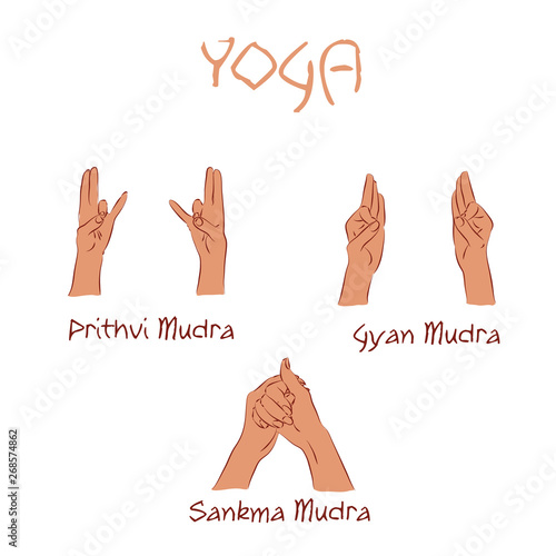 vector mudras hands color isolated line fingers