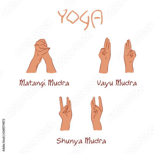 vector mudras hands color isolated line fingers