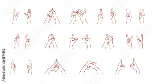 vector mudras hands color isolated line fingers photo