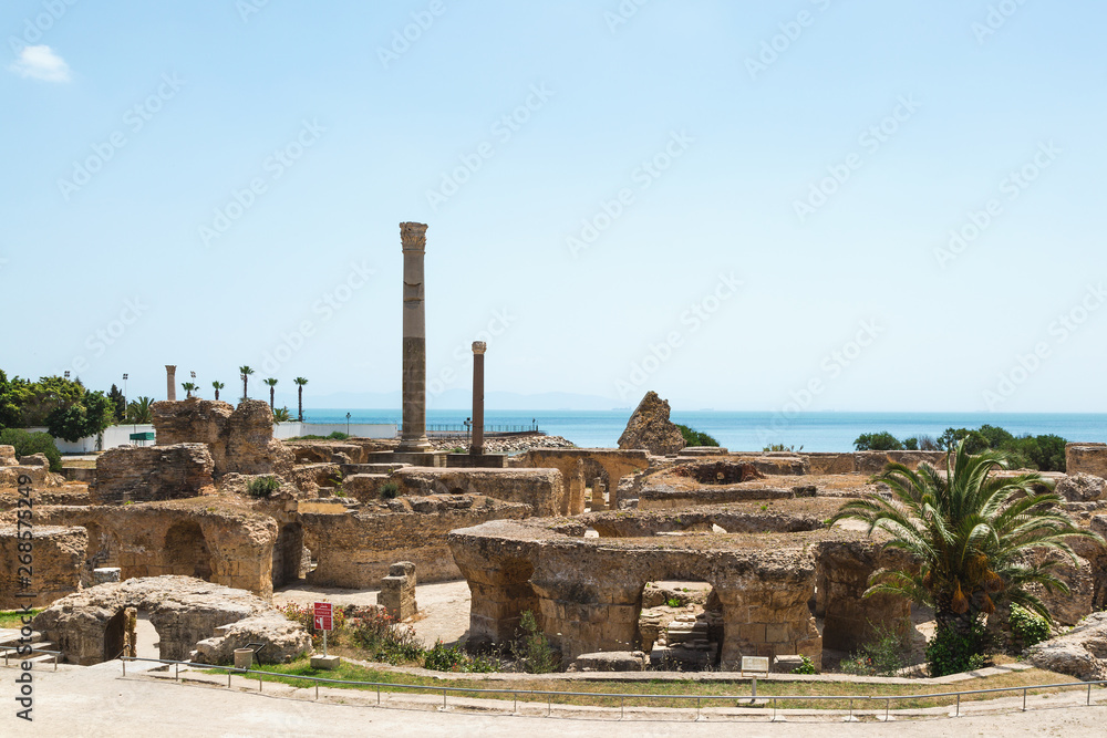 Ruins of the Baths of Antoninus. Carthage, Tunisia.