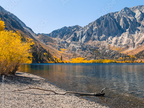 Amazing fall colors in the Eastern Sierra mountains photo