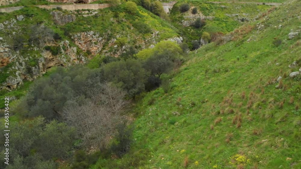 Aerial shot of a family of wild boars running down a valley near Matera, Italy Aerial shot of a family of wild boars running down a valley near Matera, Italy