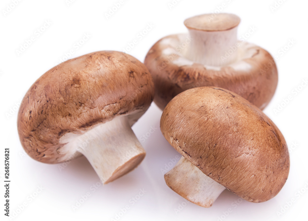 Fresh mushrooms on white background Fresh mushrooms on white background
