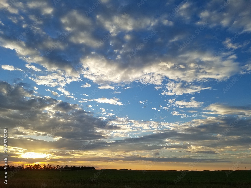 sunset over field