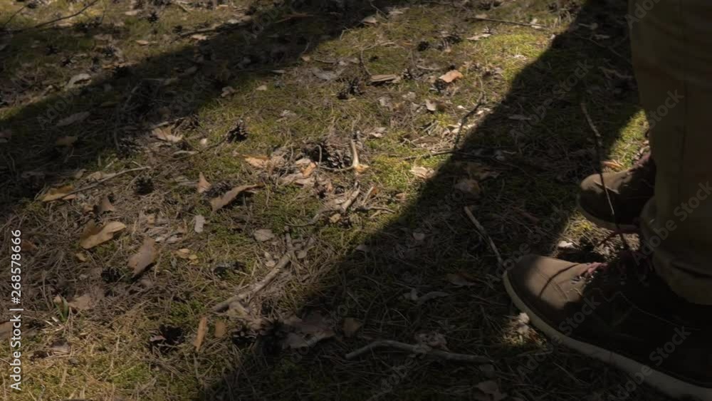 Hiking boots close-up,a man walking through a pine forest. Camera movement along the radius. 4K Hiking boots close-up,a man walking through a pine forest. Camera movement along the radius. 4K