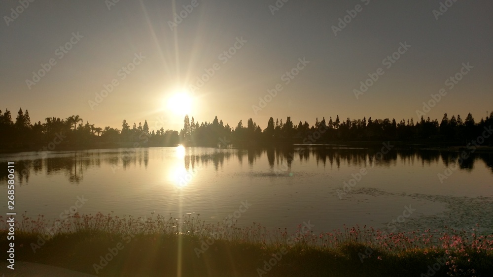 Sun reflection on a lake at a calm morning surrounded in a beautiful pine landscape