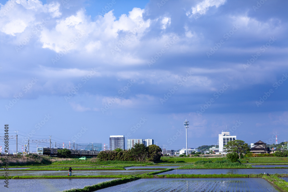 View of countryside of Japan