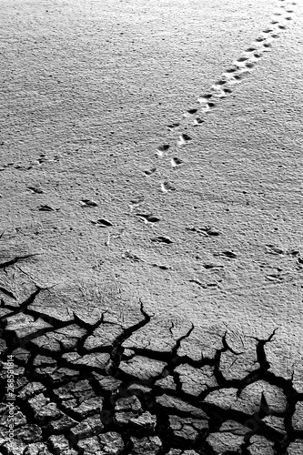 Global warming and soil. Black white nature landscape photography ...