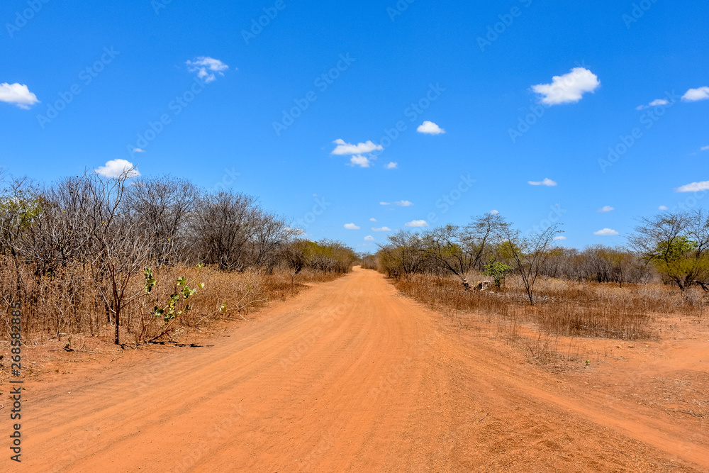 Dirt road and blue sky in the desert