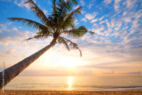 Fototapeta Naklejka Na Ścianę i Meble -  Seascape of beautiful tropical beach with palm tree at sunrise. sea view beach in summer background.