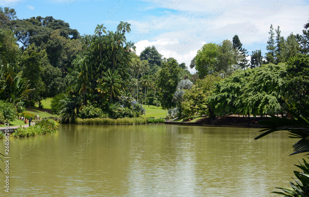 Peaceful scenery around Symphony Lake at Singapore Botanic Gardens