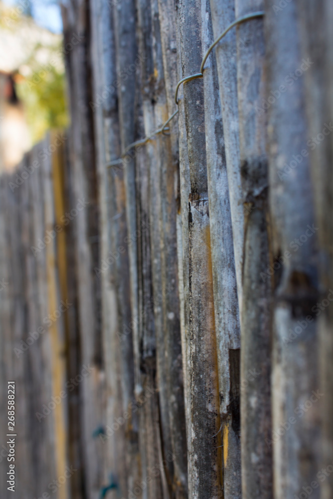 Fototapeta premium Wooden background / fence with depth perception