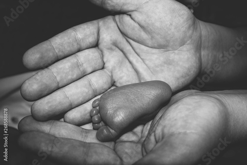 mother's hand holds the leg of a newborn baby happiness © Alex