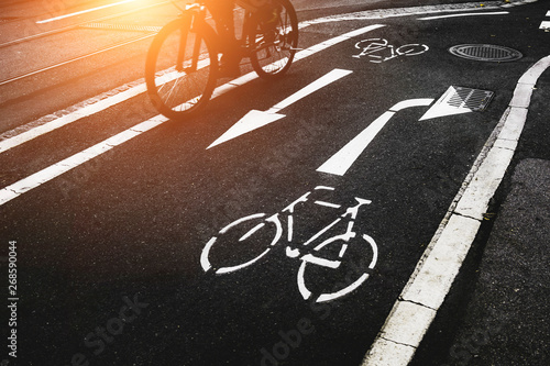 Принти на полотні Bicycle Lane on cement road in city