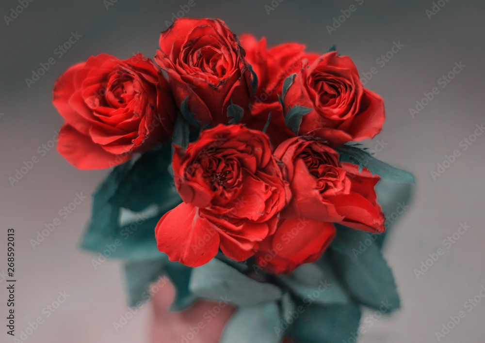 Colorful flower bouquet from red roses on street Colorful flower bouquet from red roses on street