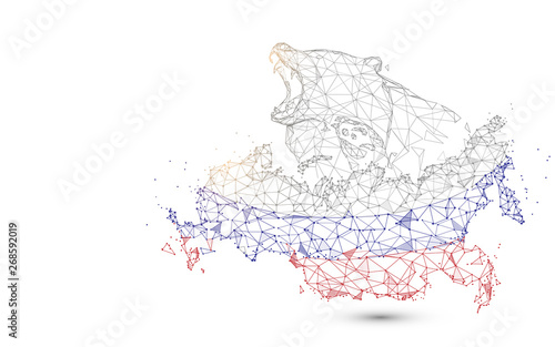 Russia map with bear from lines, triangles and particle style design. Illustration vector