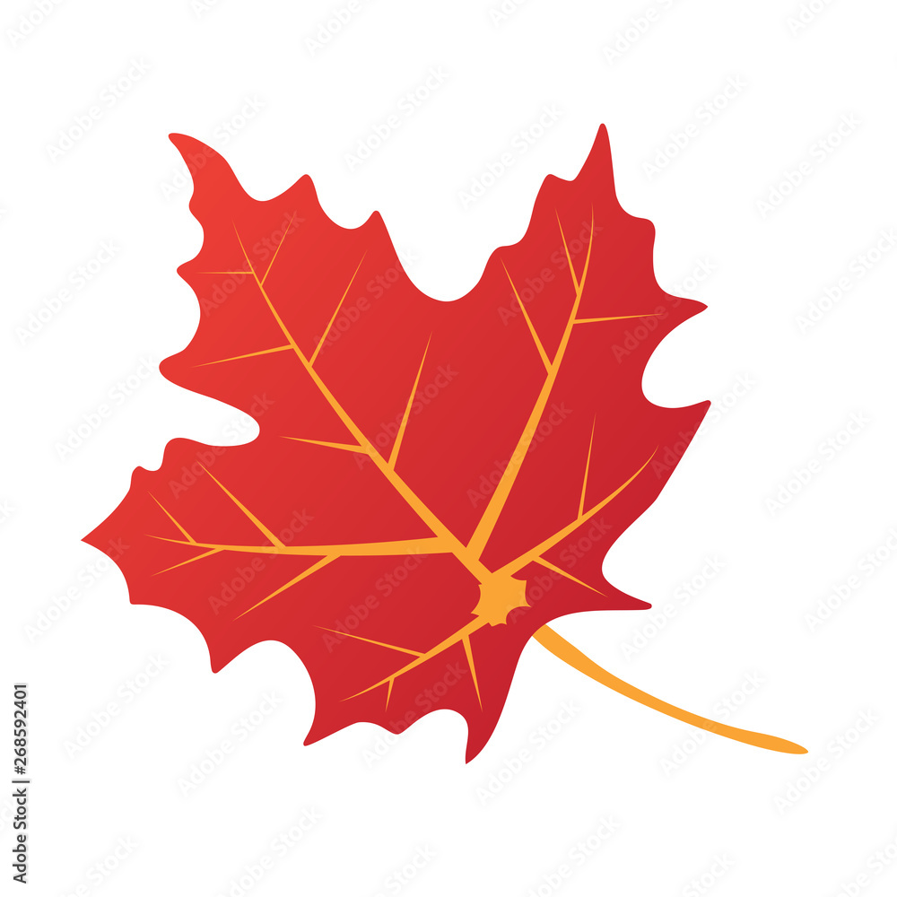 Naklejka premium autumn leaf isolated on white background